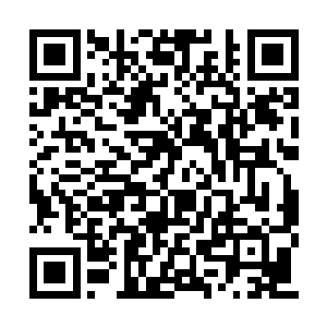 将他虽然死了但仍然紧拽不放的纸袋给提起……二维码生成