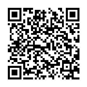 将他衬托得仿佛主宰天地的仙神或黑夜里的萤火虫二维码生成