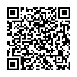 将众人各自在纯真幻灵石下展露出出来的幻境说了一遍二维码生成