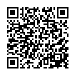 将会在余下两年中为我族带来数倍于原先的利益……二维码生成