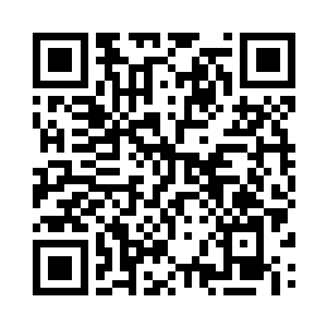 将会渐渐揭开关于漏洞者的一些秘密二维码生成