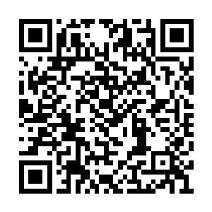 将其中蕴含着的灵气全部转化为仙术朝哪吒轰去二维码生成