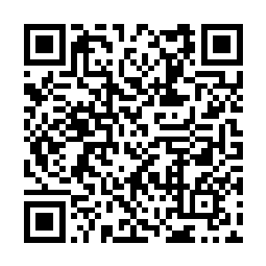 将凤变成了老婆……而人家叶笑却是收的儿子女儿二维码生成