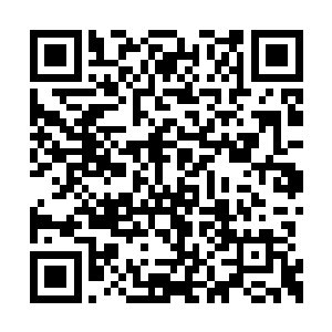 将刚才给薄荷擦拭身子时剥下的睡衣帮她穿回去二维码生成