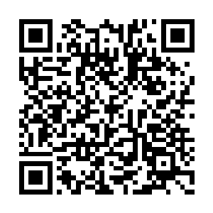 将原本很多不宣的功法都对自己阵营的修士公开二维码生成