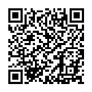 将夏侯无心牢牢限制在蓝光巨网的笼罩范围之内二维码生成