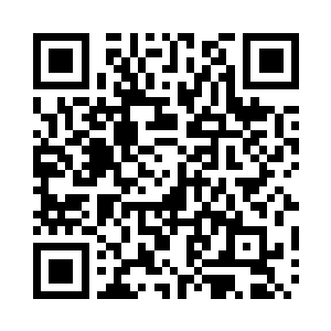 将天空之下的一颗颗参天大树摧毁殆尽二维码生成