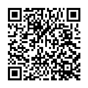 将太上皇及皇上近几十年间征北的十数次大战役一一进行分析二维码生成