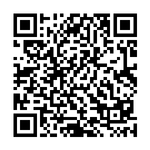 将太空中寒冷贫瘠的红色火星改造为温暖绿色的人类家园二维码生成