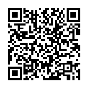 将她久不活动的老胳膊老腿儿的功能发挥到了极限二维码生成