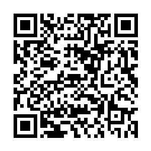 将她化作一团淡淡的灵光吸到了手心里轻轻握住了二维码生成