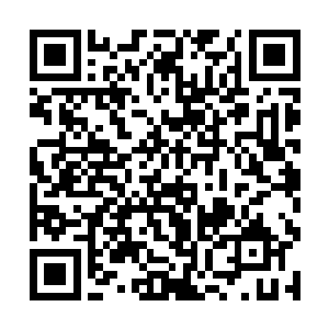 将少太山各洞地盘划分下去的熊啸终于松下一口气来二维码生成