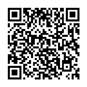 将岸立即认定为他们提供掩护的一定是林锐的人二维码生成