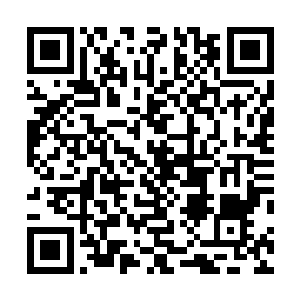 将巨大的红宝石发射口对准了尔多--尔多在破坏锯齿时二维码生成