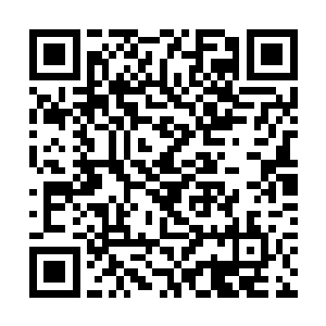 将所有可能把自己送上电椅的潜在证人先行送上西天二维码生成