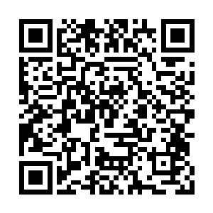 将所有的一切都赌在了这四季刀法的第三招之上二维码生成