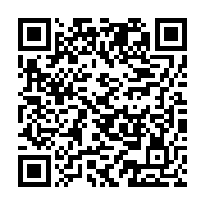 将所有的帝器和龙族铠甲和龙族武器全都给我分下去二维码生成