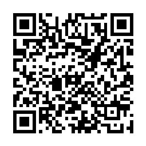 将数十个集装箱中的丧尸晶核全部用仪器检查一遍之后二维码生成