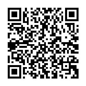 将新君的选择交由完颜氏各支宗长以及诸勃极烈议后以投票选出二维码生成