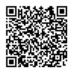 将星空娱乐对于杜正泽那番挑衅华夏网友的发言的处理情况作了通报二维码生成