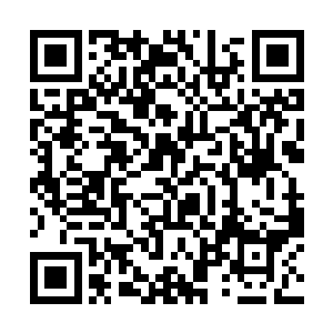 将来仙桃村和祝南镇的经济发展建设还要你多出力啊二维码生成