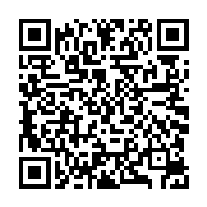 将来可没有再这么好运一次性得到这么多的圣元二维码生成