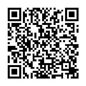 将来在苍茫大陆一脉会出现许家修为最强的高手二维码生成