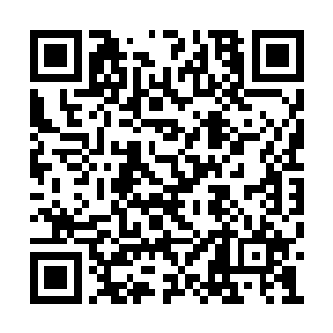 将来我哈利多家族定会成为风蓝王国的顶尖家族二维码生成