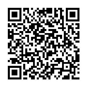 将构成五行水兽的水元素召集纳入自己咽喉的水轮场二维码生成