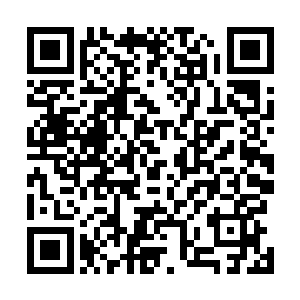 将查到的关于拟形虫的资料以及刚才的战斗视频发给邢战二维码生成