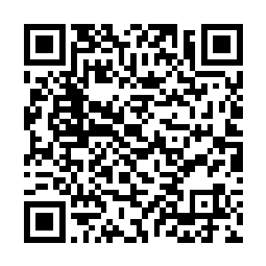 将特蕾西那一抹红色和雨果那一抹黑色纠缠在了一起二维码生成