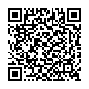 将目光从朱平安身上转开落在猪笼里的两人身上二维码生成