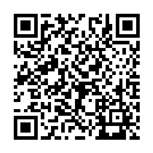 将稳稳停在掌心当中的灰突突药丹展示给众人观看二维码生成