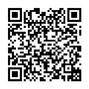 将紫灵玉朝着抓着杨磊的七恶灵的双眼狠狠的敲打二维码生成