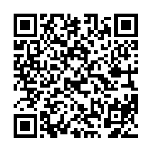 将脸搽干净后露出了一张素净却依然艳丽的夺目的小脸二维码生成