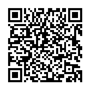 将自己打探到的情报如实的告知了武魂一脉的另外七大传人二维码生成