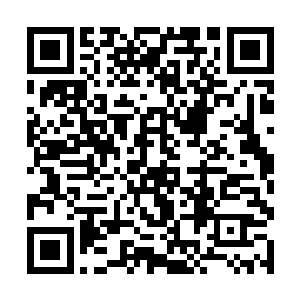 将自己身体之中的灵力注入到正在下面洗澡的魔兽蛋二维码生成