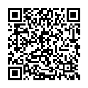 将萧晨在深海恶战时留下的一些不着痕迹的暗伤二维码生成