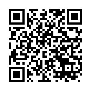 将藏匿在某处的成年元磁兽引出来二维码生成