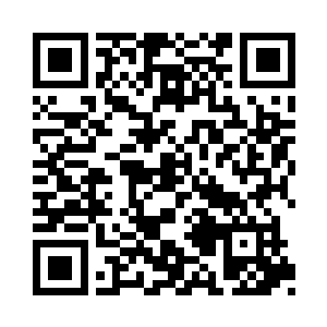 将被阵法围困住的贾奎良和王一清给抓了起来二维码生成