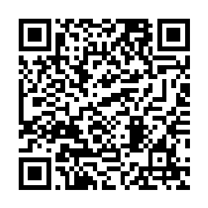 将赵长枪刚刚架在鼻梁上的黑超墨镜吧唧一声刮到了地上二维码生成