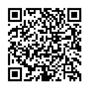 将身体里的最后一丝本源魔力与瑰宝之力一起融入了混元指上二维码生成