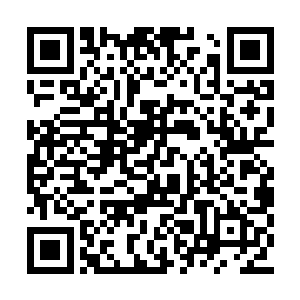 将这个世界中坚固的空间都碾压出了细密的裂缝二维码生成