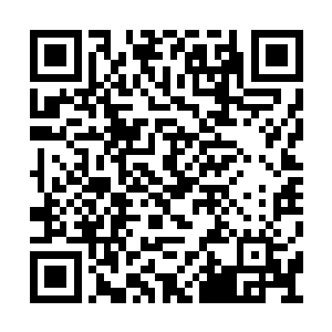 将这些天元神族强者全都收进了万里河山图之中二维码生成