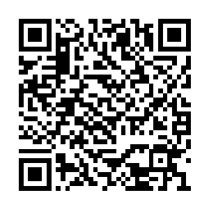 将这些超级巨鳄给生生困在了这片湿润的土地上二维码生成