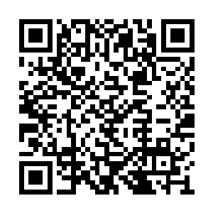 将这份针对元始族的仇恨烙印在基因和神魂深处二维码生成