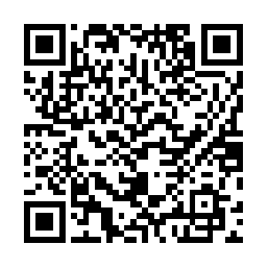 将这打自己女人主意的都统大人看了个清清楚楚明明白白二维码生成