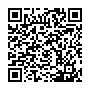 将那个玉瓶小心翼翼地放到了寒丹和药丹云身前的桌子上二维码生成