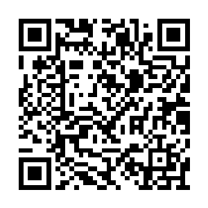 将青玉石砖上落着的已经干枯了的血迹逐一擦干二维码生成