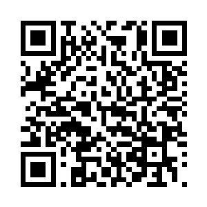 将龟壳连同躲在后面的两大强者击退二维码生成